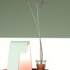 foscarini tua design lampa